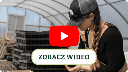 Kard z wideo
