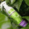 Regenerator do roślin zielonych – odżywka, nawóz w sprayu (mgiełka) – 2 x 300 ml Vegano