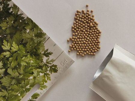 Pietruszka 'Laura' - Nasiona Otoczkowane – Kiepenkerl