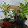 Żywe podłoże do monstery, filodendronów i roślin tropikalnych z dodatkiem Wermihumusu Vegano - 10 l (2 x 5 l)