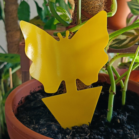 ZiemiórStop Lep na ziemiórki – 12 szt. Vegano