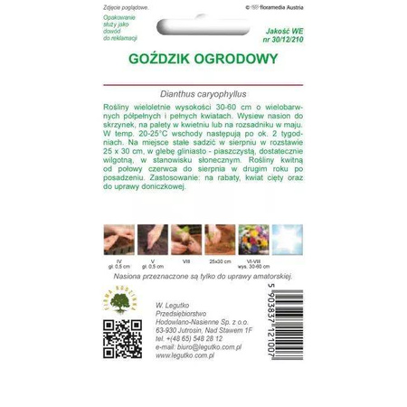 Goździk Ogrodowy – Mix Kolorów – Legutko