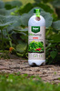 Biohumus Max do ziół (tymianku, majeranku, mięty, bazylii, rozmarynu) – 1 l Target