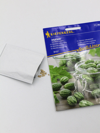 Ogórek Meksykański 'Mateo'– Kiepenkerl