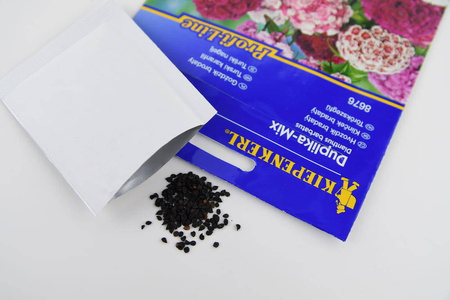 Goździk Brodaty 'Duplika' – Mix Nasion – Kiepenkerl