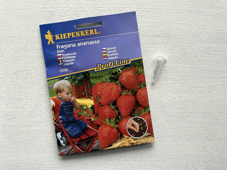 Truskawka 'Elan' F1– Zwisajaca – Kiepenkerl