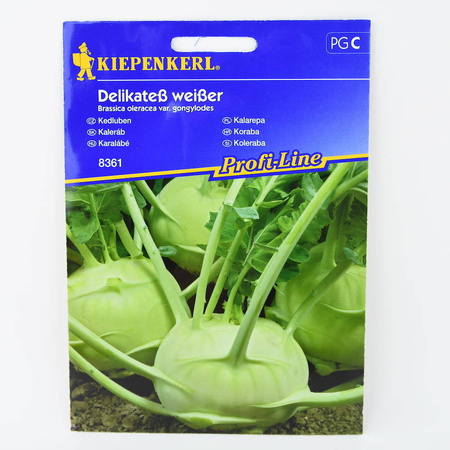 Kalarepa 'Delikateß weißer' – Delikatna – Kiepenkerl