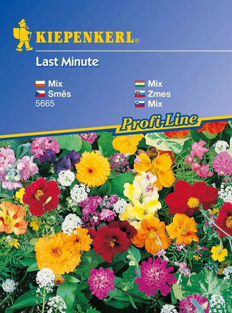 Kwiaty Szybko Rosnące – Mix Nasion – Kiepenkerl