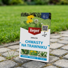 Starane Trawniki – Zwalcza Chwasty Na Trawniku – 20 ml Target
