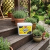 Ants Control – Granulat Na Mrówki – 3 kg Target