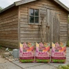 Nawóz do roślin kwitnących w granulkach z mączką bazaltową – do róż, piwonii, hortensji, magnolii i innych – 3x8 kg (ZESTAW) Vegano