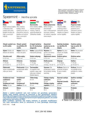 Mięta Pieprzowa 'Spearmint' – Kiepenkerl