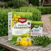 P-drakol regeneruje trawnik – 20 g Target + Nawóz do trawnika zagęszczający murawę – 1 kg Target (ZESTAW)