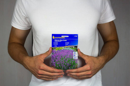 Lawenda 'Hidcote Blue Strain' – Nasiona – Kiepenkerl