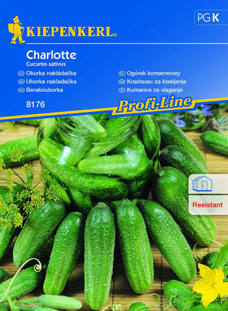 Ogórek 'Charlotte' F1 – Gruntowy – Kiepenkerl