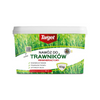 Nawóz do trawnika regeneracyjny – 4 kg Target