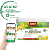 Nawóz Do Trawnika – Zagęszczający – 8 kg Target