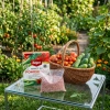 Nawóz do pomidorów i ogórków z mikroelementami – 1 kg Target