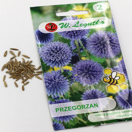 Przegorzan – Legutko