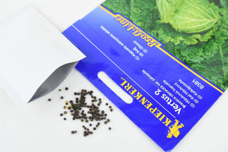 Kapusta Włoska 'Vertus 2' – Późna – Kiepenkerl