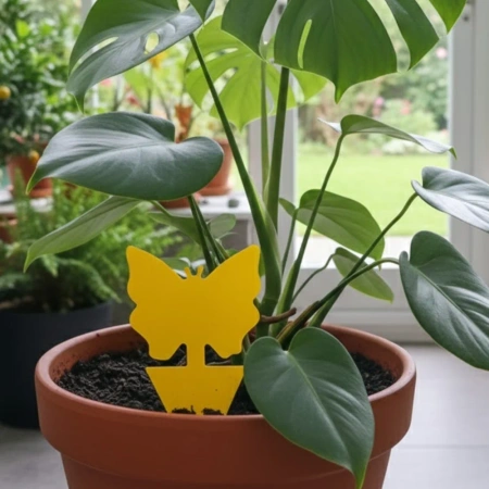 ZiemiórStop żółty lep na ziemiórki i szkodniki w doniczce – 12 szt. Vegano