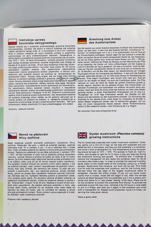 Boczniak Ostrygowaty – Zestaw Do Uprawy Grzybów – 3 l Exotic Grow Planto