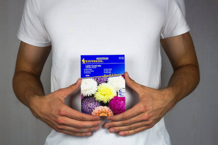 Aster Chiński 'Lady Coral' – Mix Nasion – Kiepenkerl