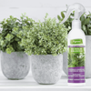 Regenerator do roślin zielonych – odżywka, nawóz w sprayu (mgiełka) – 300 ml Vegano