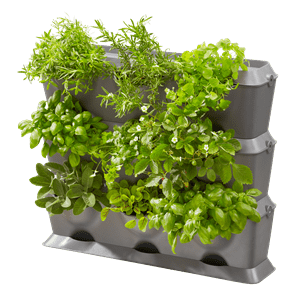 Ogród Wertykalny NatureUp! – Gardena