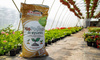 Bio Podłoże – do Wysiewu – 50 l Ekagro
