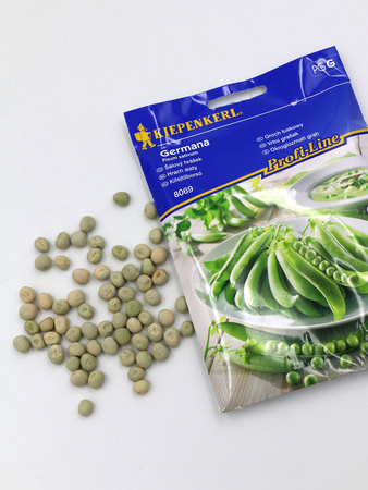 Groch Łuskowy 'Germana' – Kiepenkerl