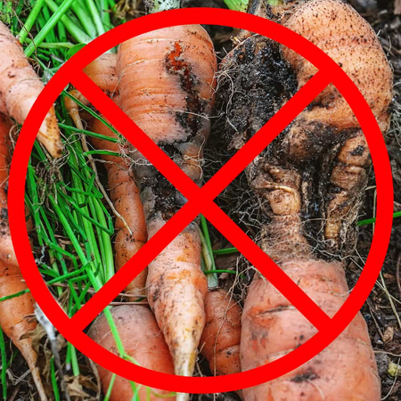 Nemapsil Limit do warzyw korzeniowych – połyśnica i nicienie – 10 g Agrecol