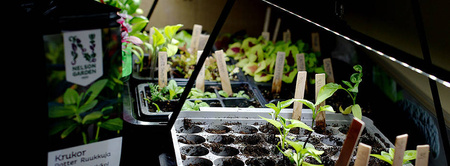 Lampa LED Do Doświetlania Roślin – 39 cm 15W Nelson Garden