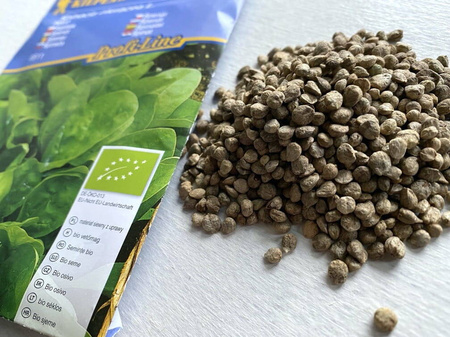 Szpinak 'Palaco' – Uprawa Ekologiczna – Kiepenkerl