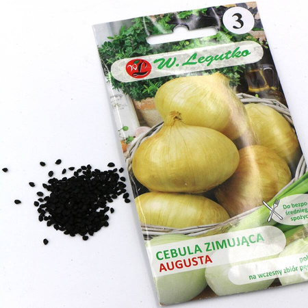 Cebula 'Augusta' – 2 g Legutko