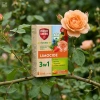 Limocide 3w1 na przędziorki, mszyce, skoczki – zwalcza szarą pleśń, rdzę i mączniaka  – 50 ml Protect Garden