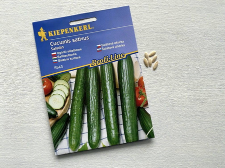 Ogórek 'Saladin' F1 – Długi – Kiepenkerl