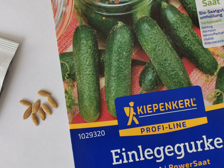 Ogórek konserwowy 'Diamant' F1 - Nasiona Otoczkowane - Kiepenkerl
