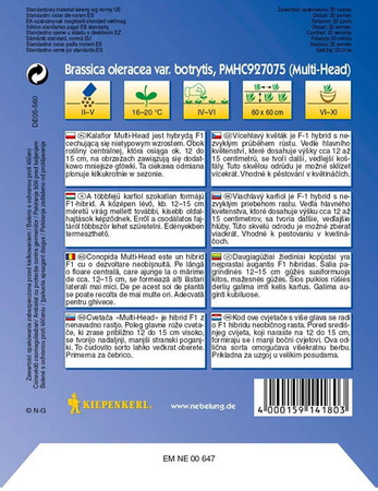 Kalafior 'Multi-Head' F1 – Wielogłowiasty – Kiepenkerl