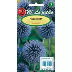 Przegorzan – Legutko