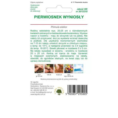 Pierwiosnek Wyniosły (Prymula) – Mix Nasion – Legutko