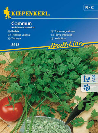 Trybula Ogrodowa 'Commun' – Kiepenkerl