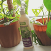 Regenerator do roślin zielonych – odżywka, nawóz w sprayu (mgiełka) – 300 ml Vegano