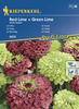 Cynia 'Red Lime' + 'Green Lime' – Kiepenkerl