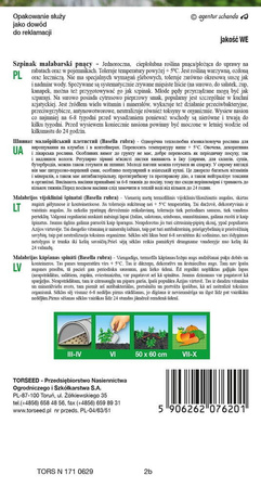 Szpinak Malabarski – Pnący – Torseed