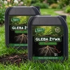 Gleba Żywa (efekt pracy dżdżownic) wermikompost w płynie do warzyw, owoców, trawnika i roślin ozdobnych – 10 l Vegano