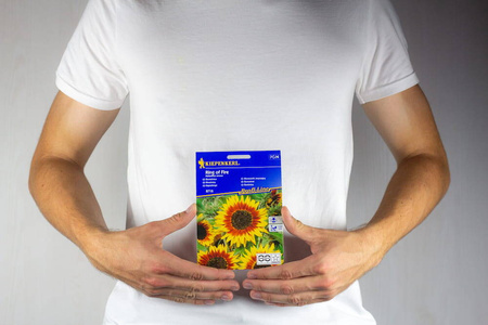 Słonecznik 'Ring of Fire' – Nasiona Kiepenkerl