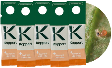 Dobroczynek swirski – drapieżne roztocze na wciornastki i mączliki 5 szt. – Vegano