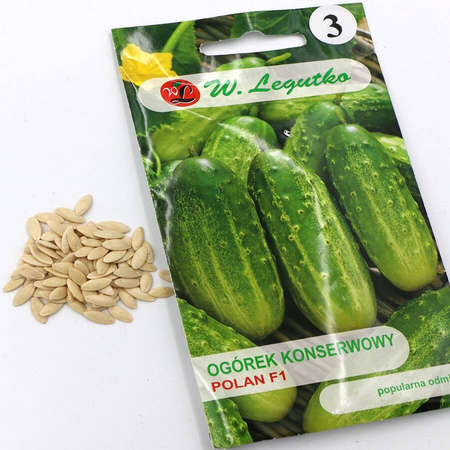 Ogórek 'Polan' F1 – 5 g Legutko