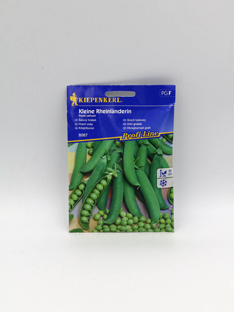 Groch Łuskowy 'Kleine Rheinländerin' – Kiepenkerl